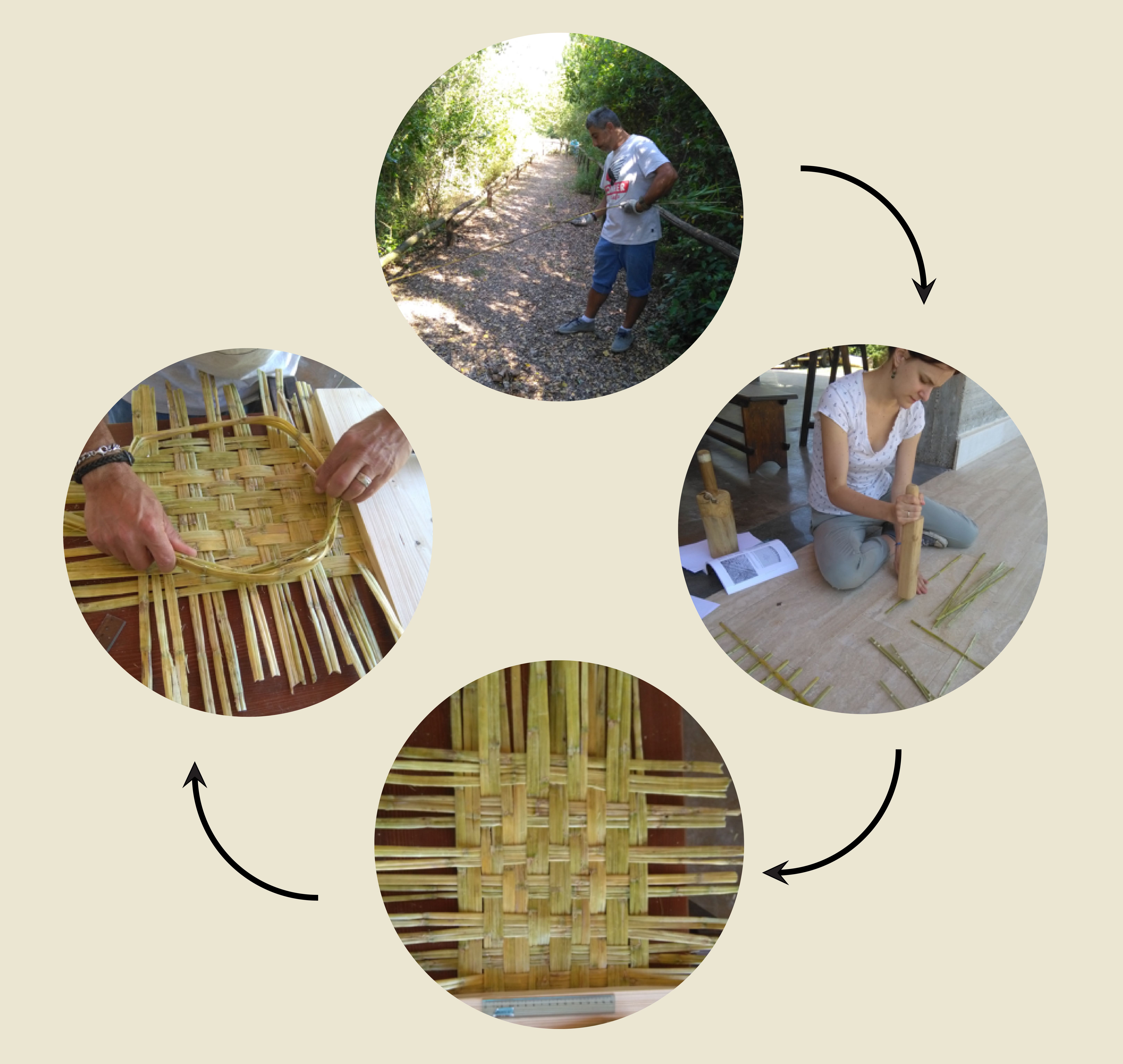 Vegetable Plaiting Materials from the Site of Abu Tbeirah (Southern